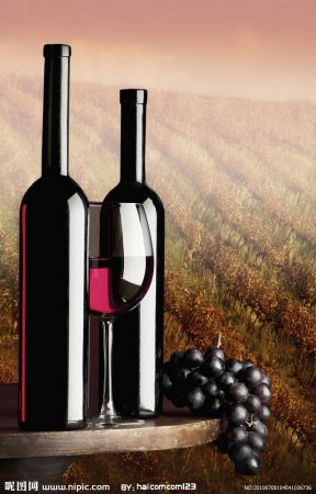 来自法国上流社会的二十种极品红酒