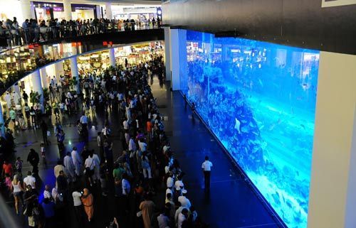 Dubai Mall Ӱ΢С
